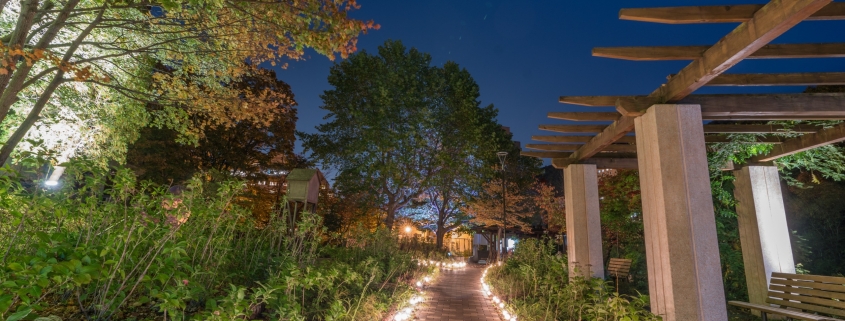 All About Landscape Lighting