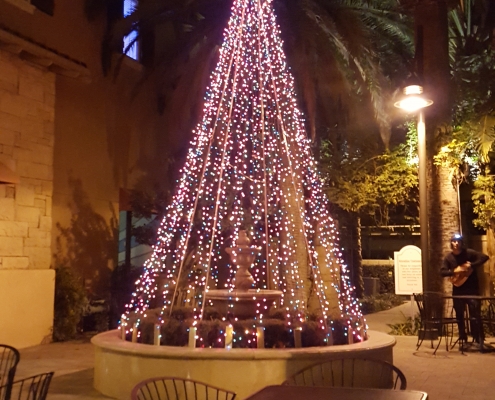20151211_211832-495x400