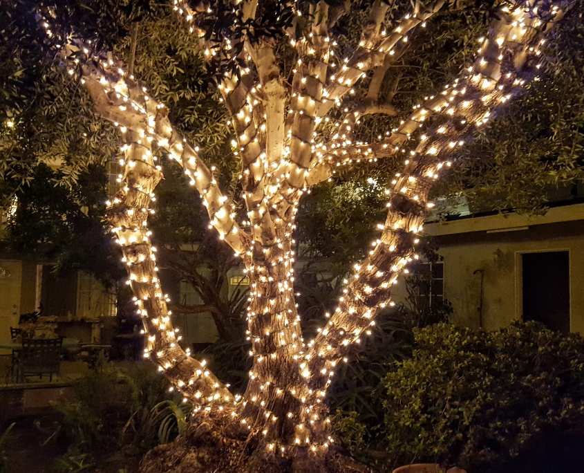 Best backyard lighting Best backyard lighting Services